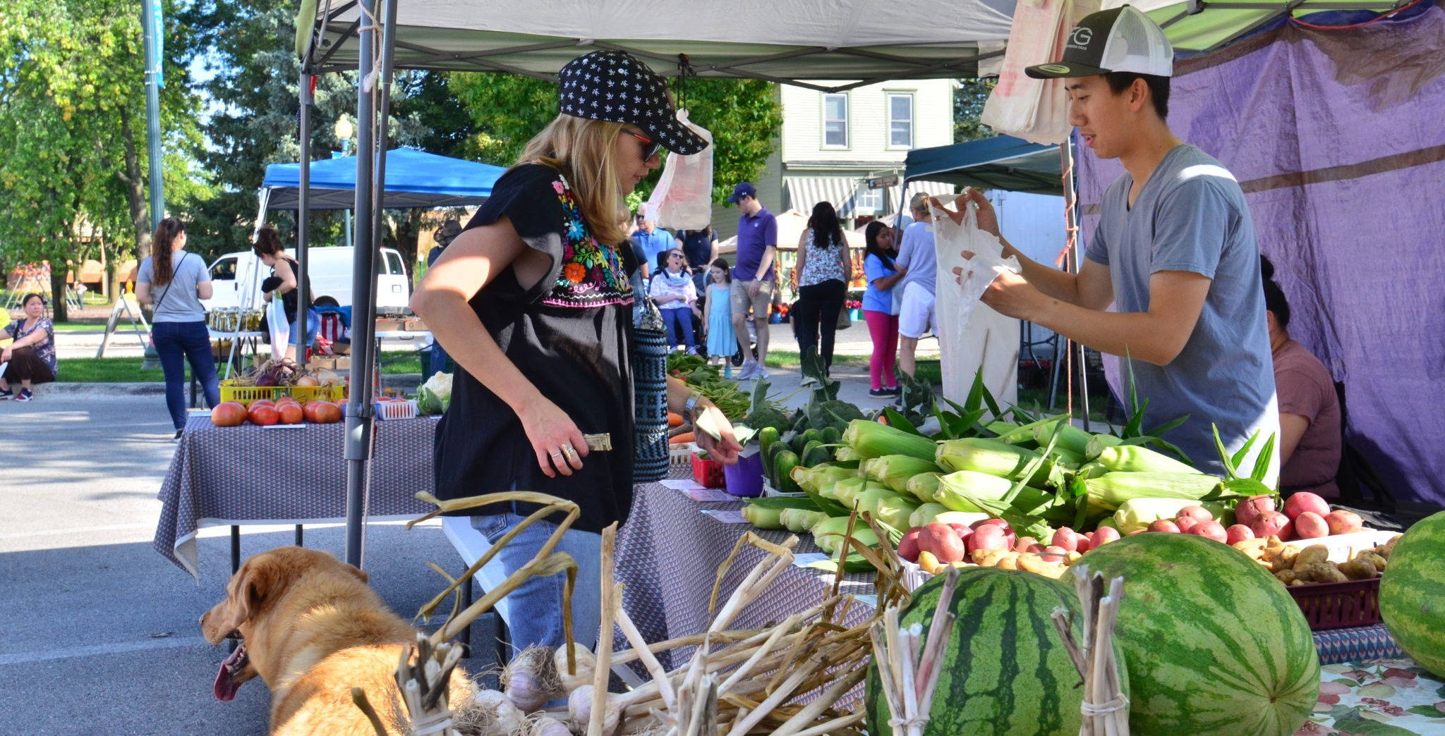 Farmers & Artisans Market Elkhart Lake, WI